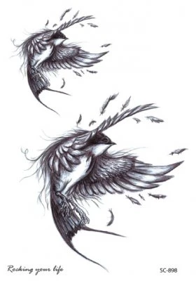 Swallow's flight