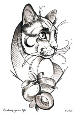 Outlined cat