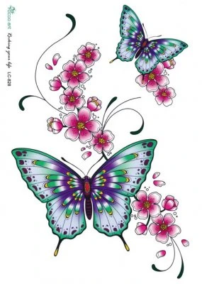 Butterflies & Flowers