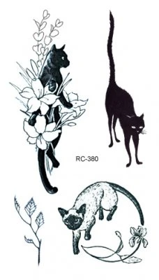 Cats and Flowers