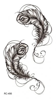 Feathers