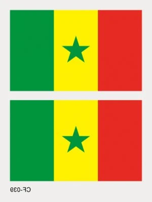 Flag of Cameroon