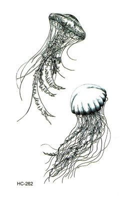 Jellyfishes