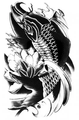 CARP FISH